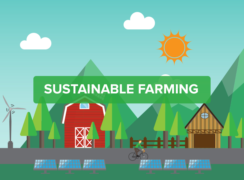 The Future of Sustainable Farming